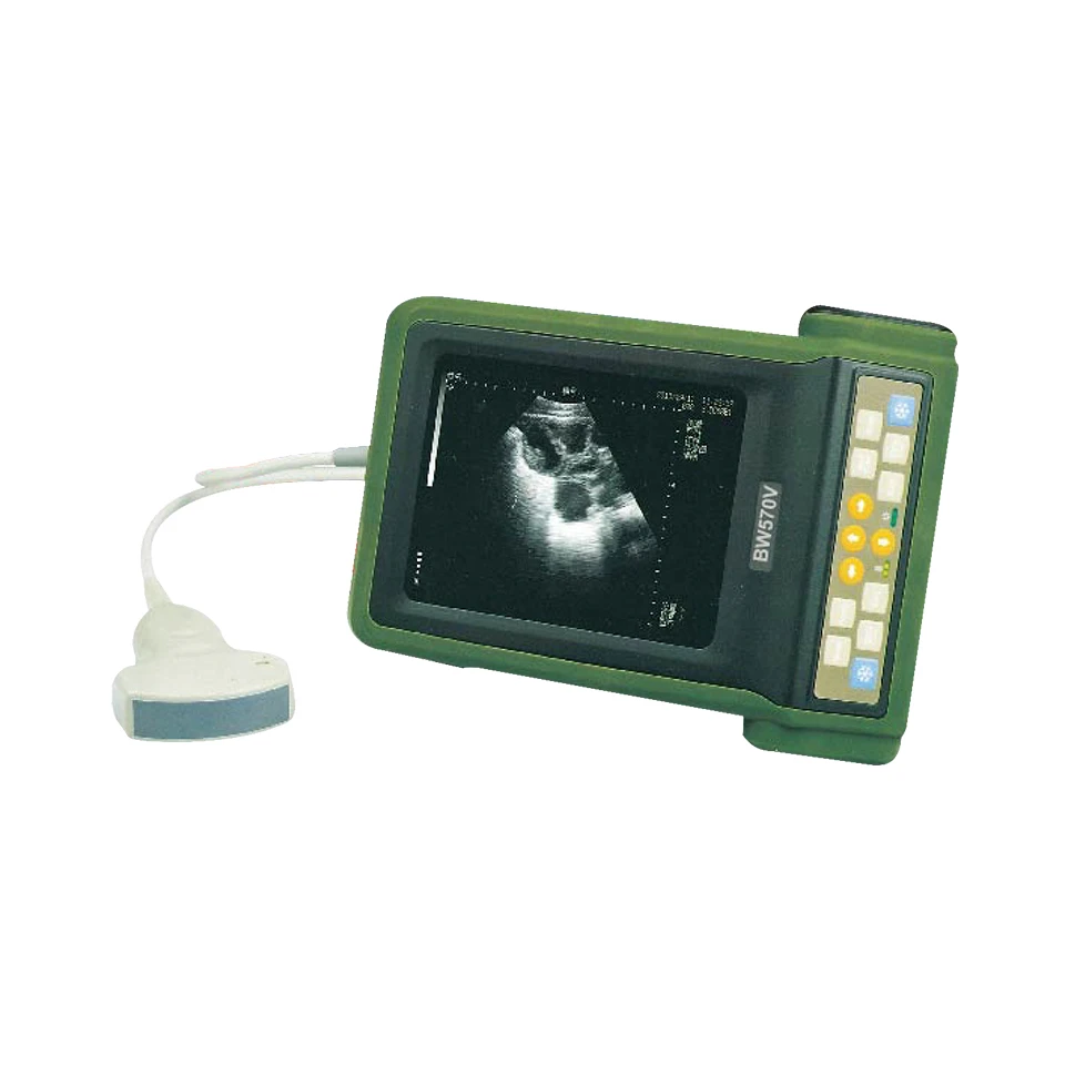 Equine Ultraschallscanner