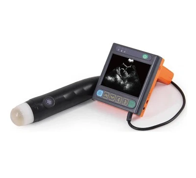 Veterinary Ultrasound With Probe Veterinary Ultrasound With Probe
