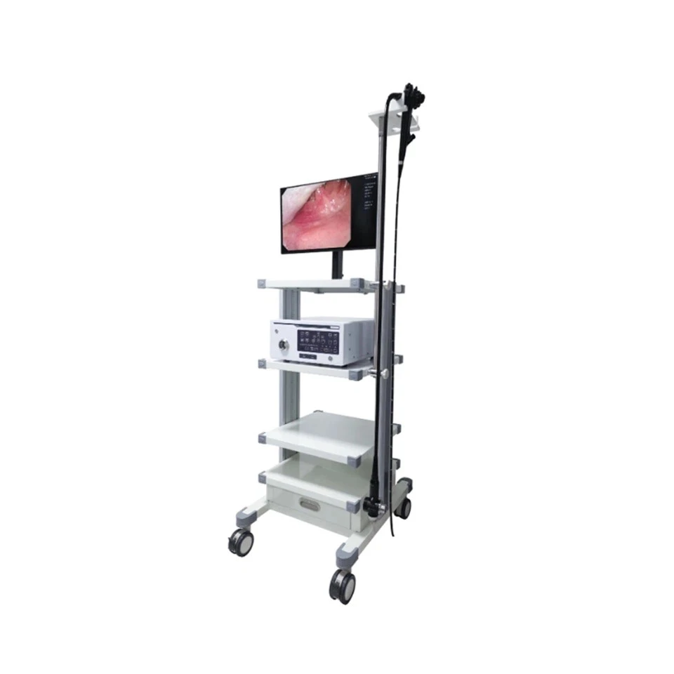 Veterinary Endoscopy Equipment Veterinary Endoscopy Equipment