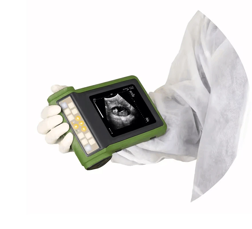 China Equine Ultrasound Scanner China Equine Ultrasound Scanner