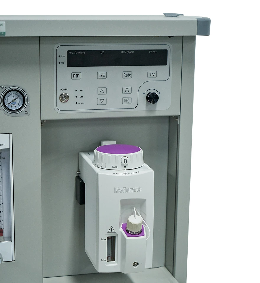 Small Animal Anesthesia Machine Price Small Animal Anesthesia Machine Price
