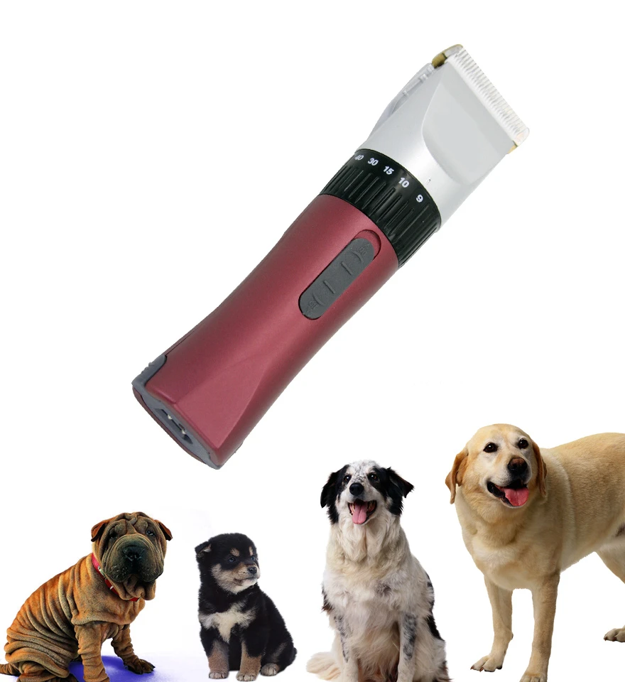product-880-960