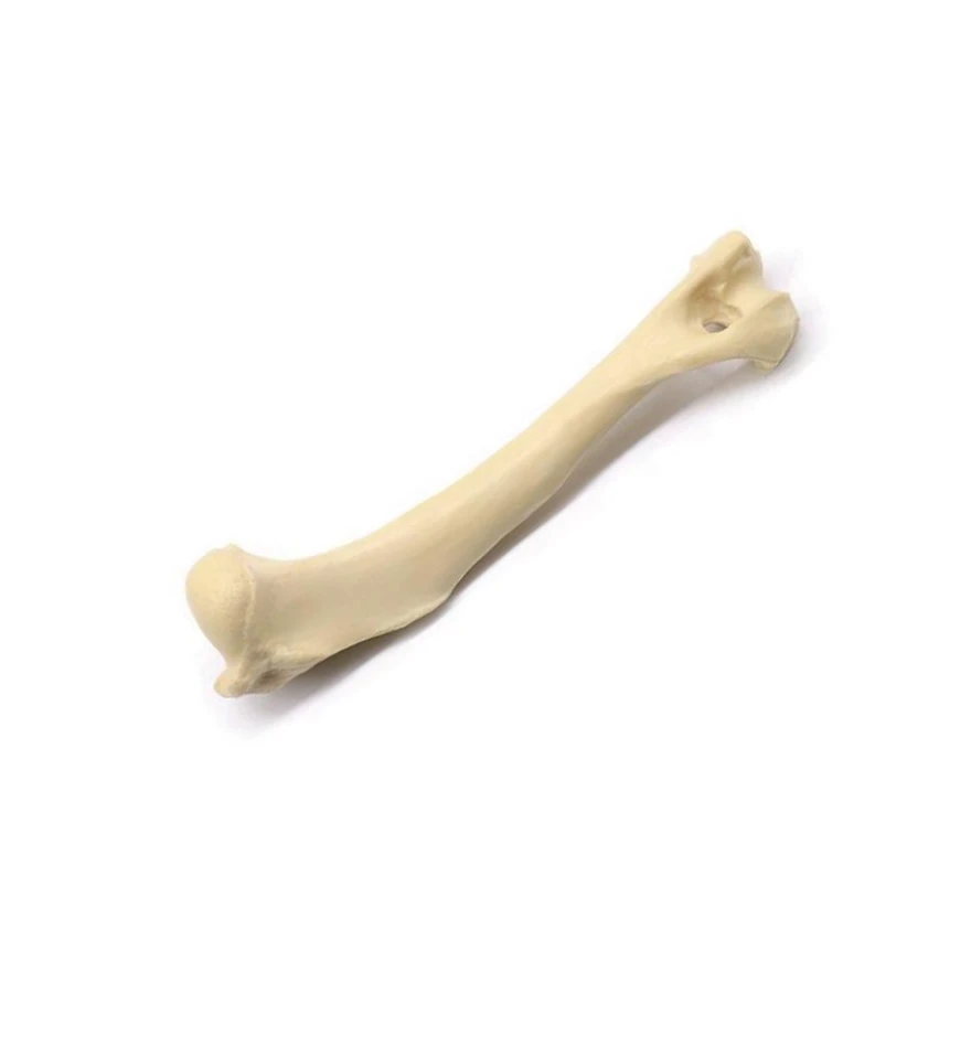 product-880-960