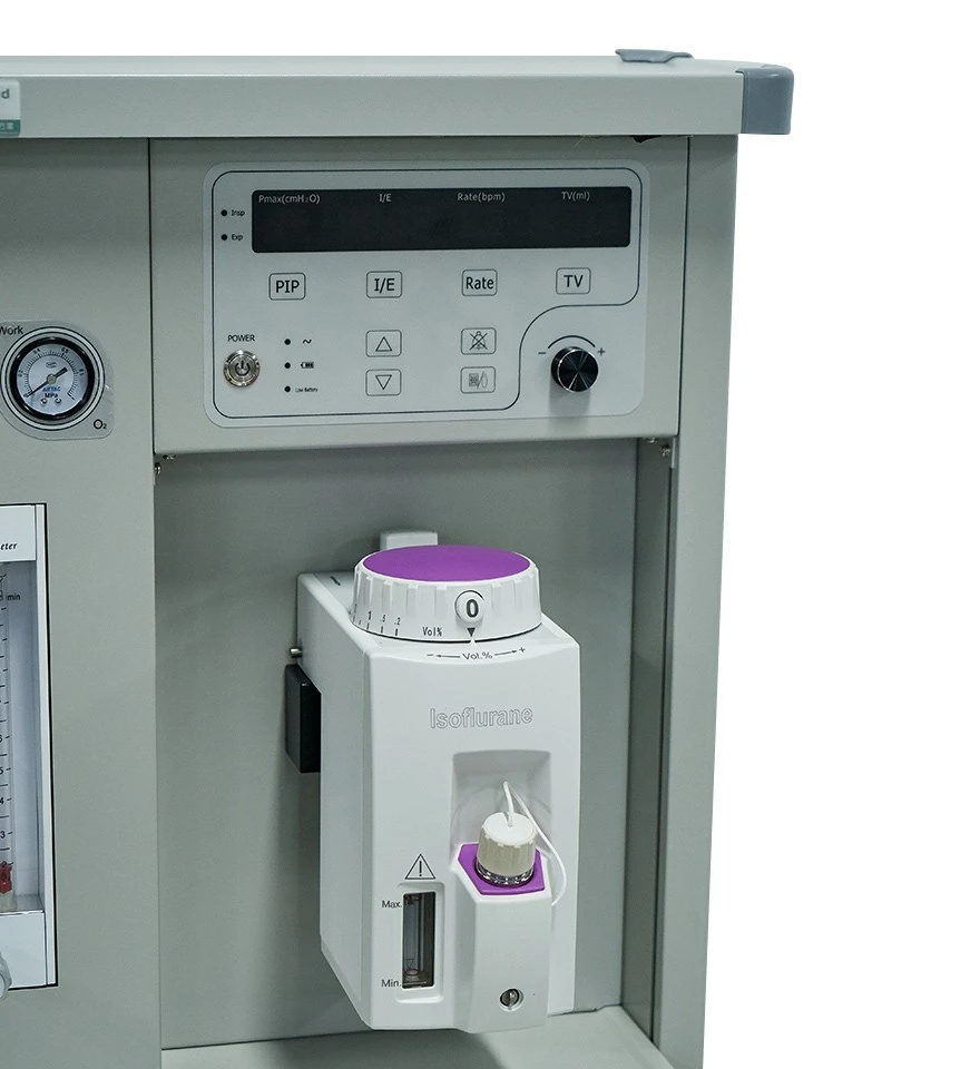 Small Animal Anesthesia Machine best