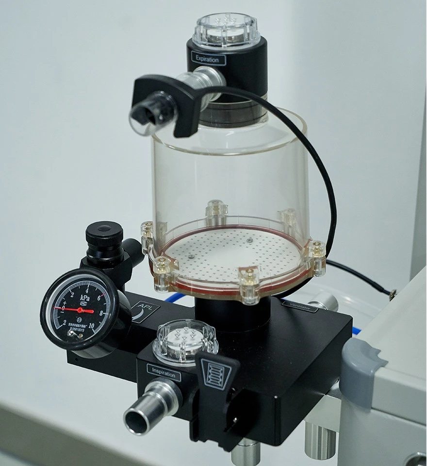 Small Animal Anesthesia Machine suppliers